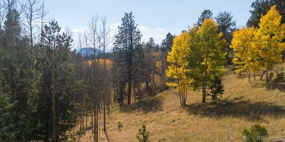 Commercial Property for Sale in Cripple Creek Colorado 80813